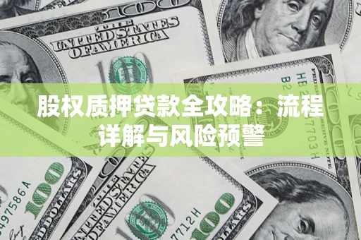 北京股权质押贷款全攻略：流程详解与风险预警