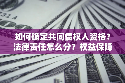 北京如何确定共同债权人资格？法律责任怎么分？权益保障技巧揭秘！