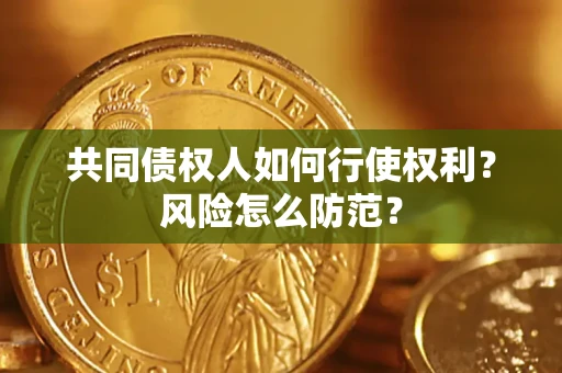 北京共同债权人如何行使权利？风险怎么防范？