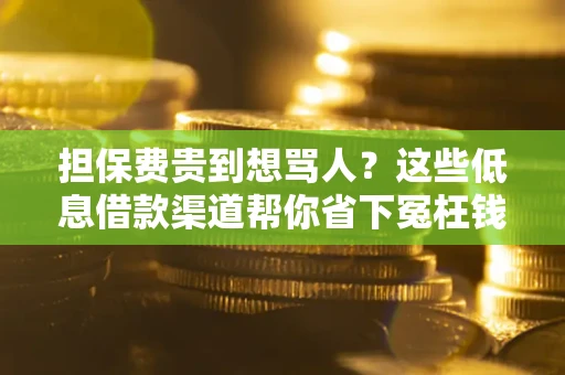 北京担保费贵到想骂人？这些低息借款渠道帮你省下冤枉钱