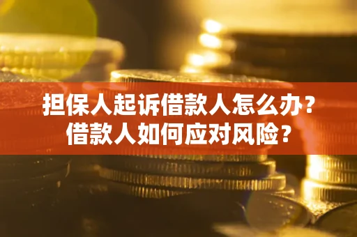 北京担保人起诉借款人怎么办？借款人如何应对风险？