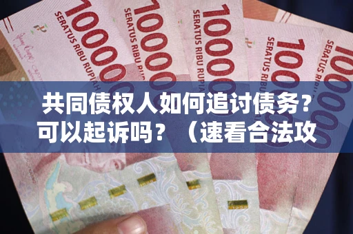 北京共同债权人如何追讨债务？可以起诉吗？（速看合法攻略）
