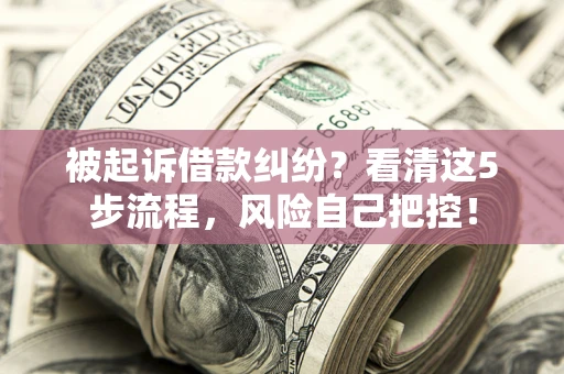 北京被起诉借款纠纷？看清这5步流程，风险自己把控！